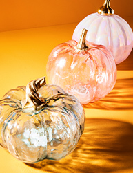 Shop Fall Decor